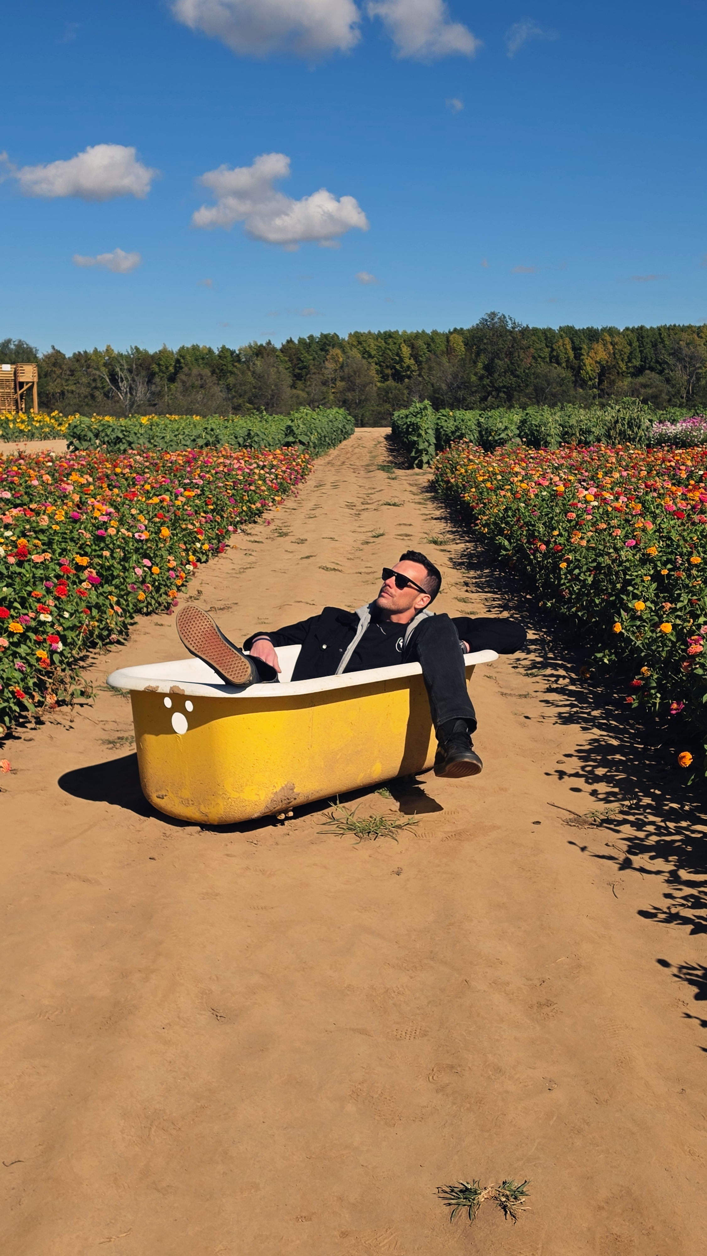 Austin relaxing in a yellow bathtub on a path between rows of flowers beneath a blue sky.